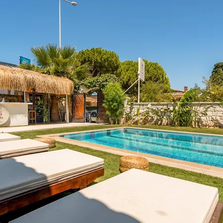 Solis ألاتشاتي